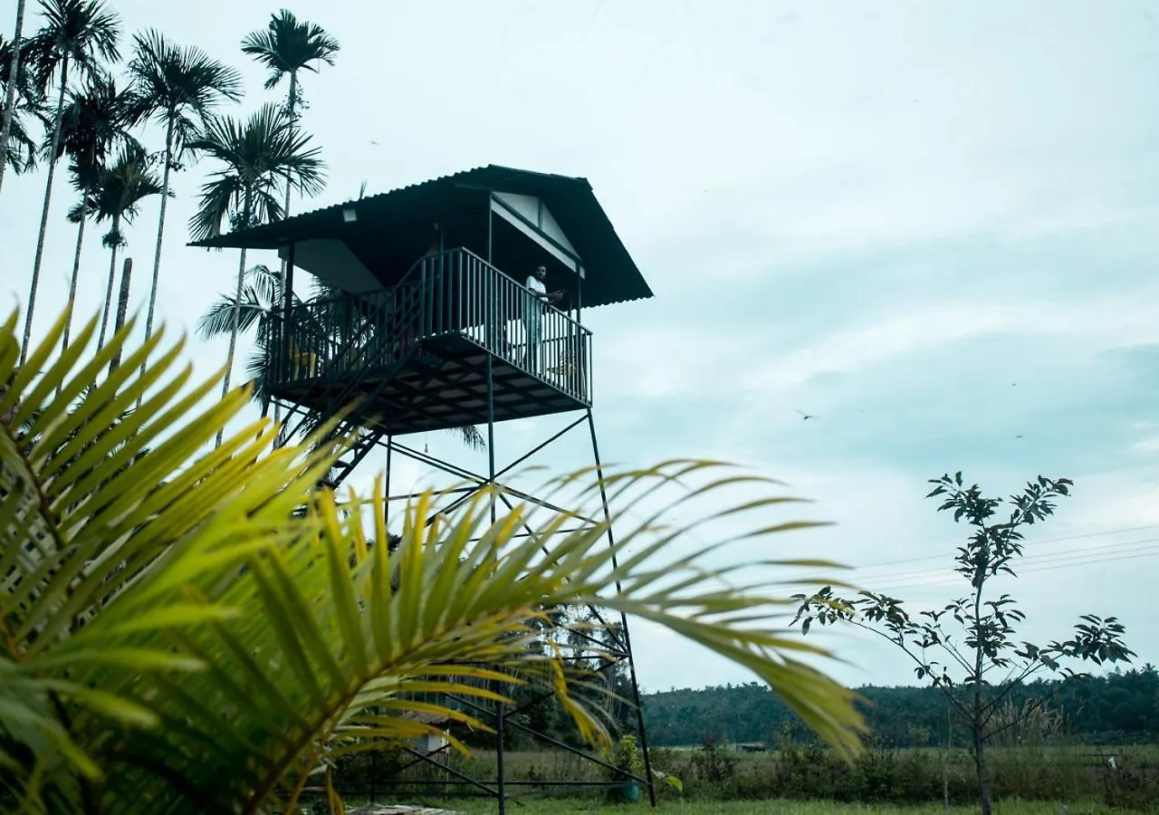 Wildside Jungle Retreat Wayanad Resort By Voye Homes