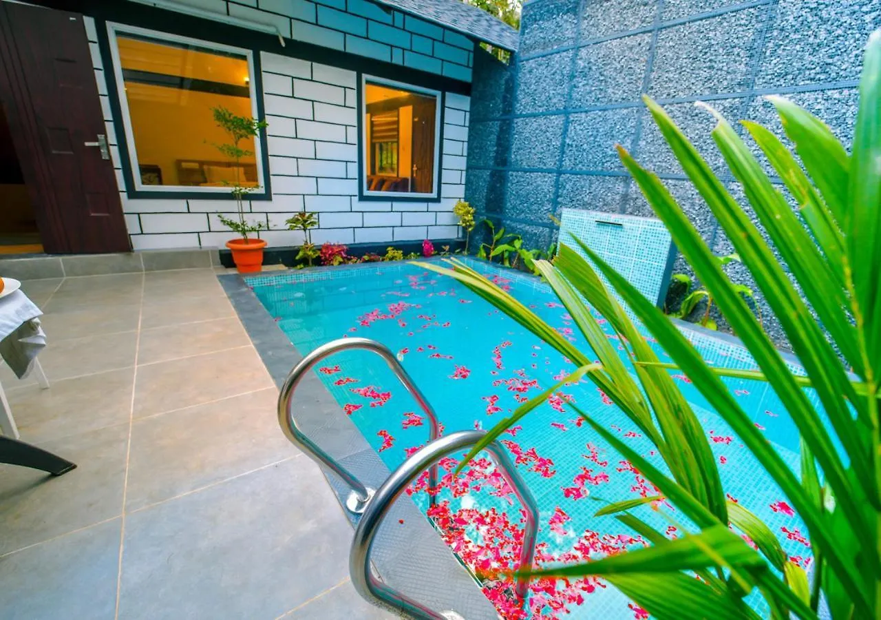 Wildside Jungle Retreat Wayanad Resort By Voye Homes India